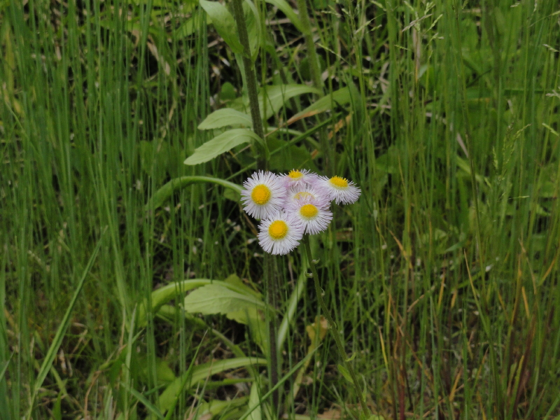 img0014.jpg