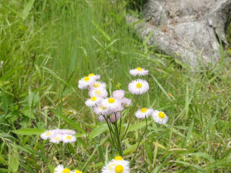 img0015.jpg