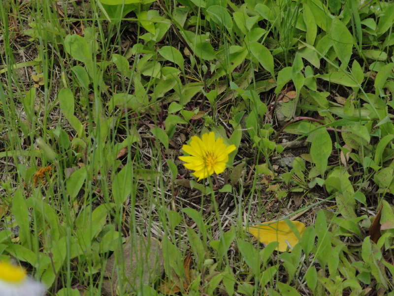 img0016.jpg
