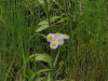 img0014.jpg