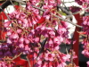 img0014.jpg