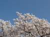 img0017.jpg