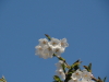 img0023.jpg