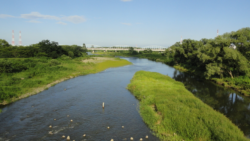img0004.jpg