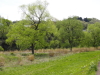 img0028.jpg