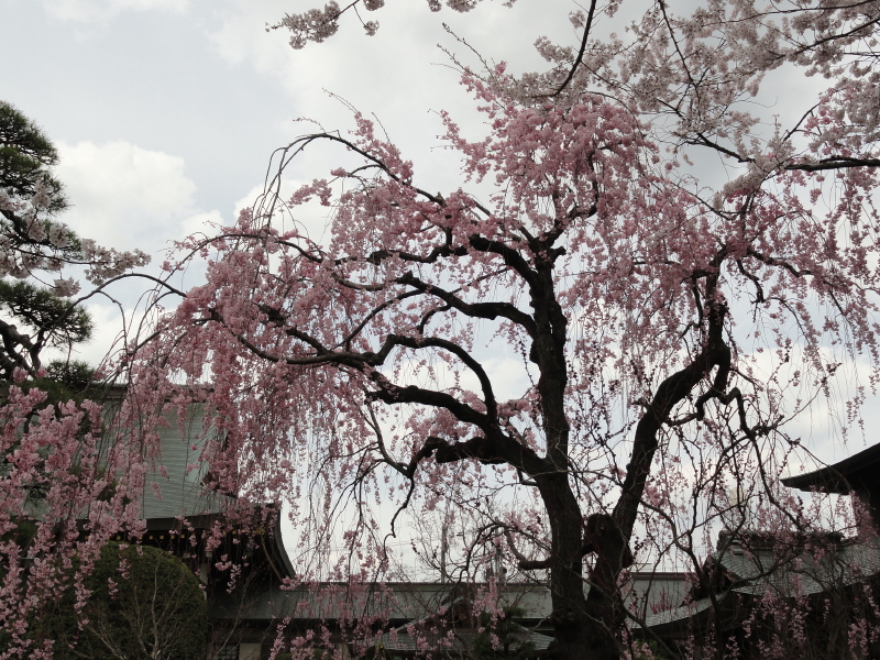 img0012.jpg