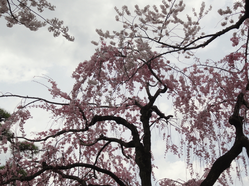 img0014.jpg