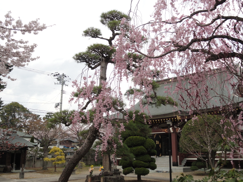img0015.jpg