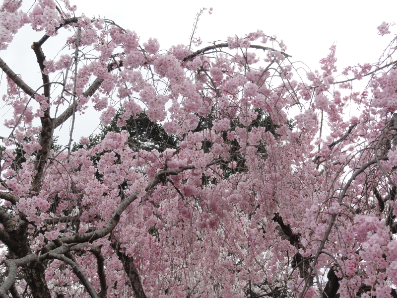 img0026.jpg