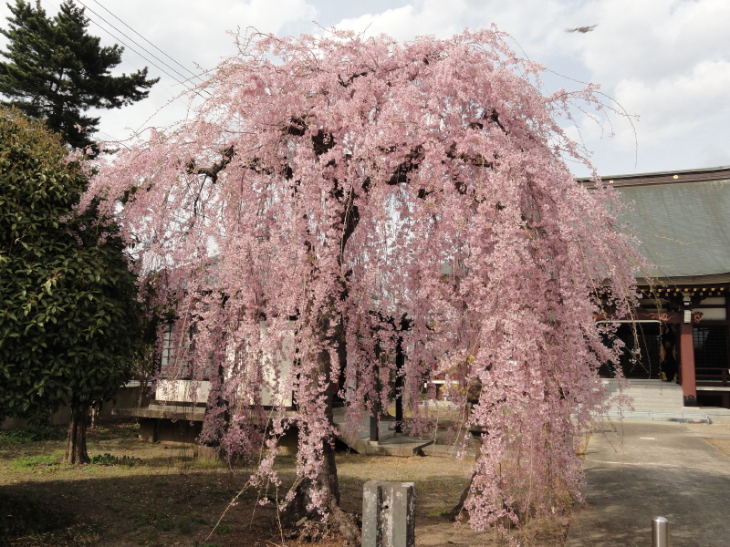 img0043.jpg