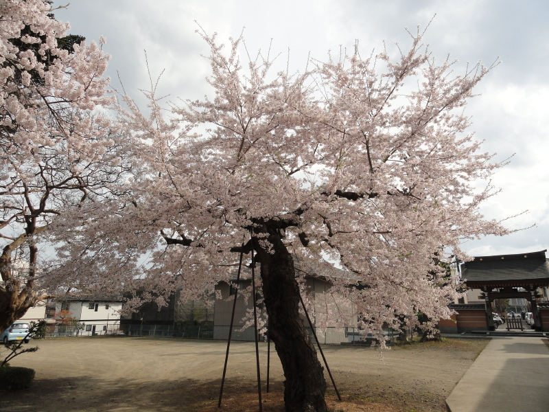 img0044.jpg