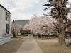 img0003.jpg