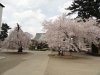 img0005.jpg