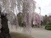 img0008.jpg