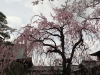 img0012.jpg