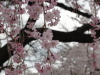 img0018.jpg