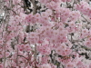 img0020.jpg