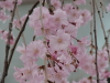 img0024.jpg