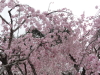 img0026.jpg