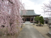 img0038.jpg
