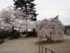 img0040.jpg