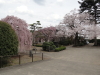 img0041.jpg