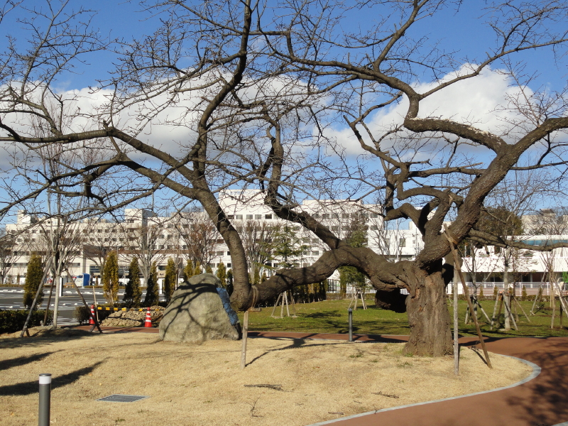 img0017.jpg