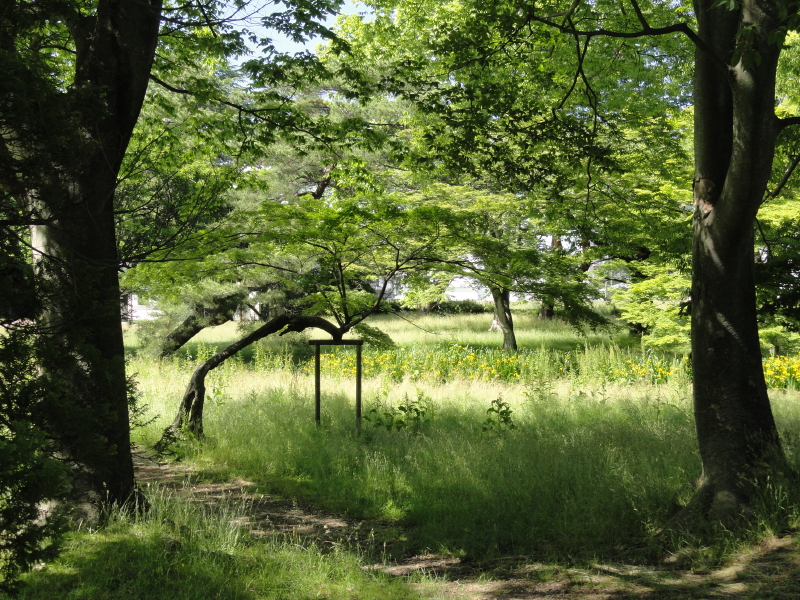 img0007.jpg