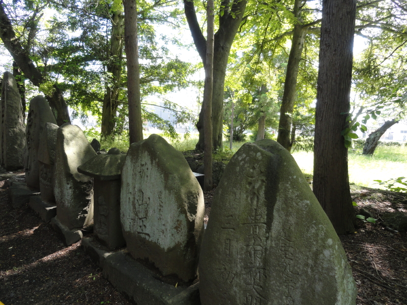img0010.jpg