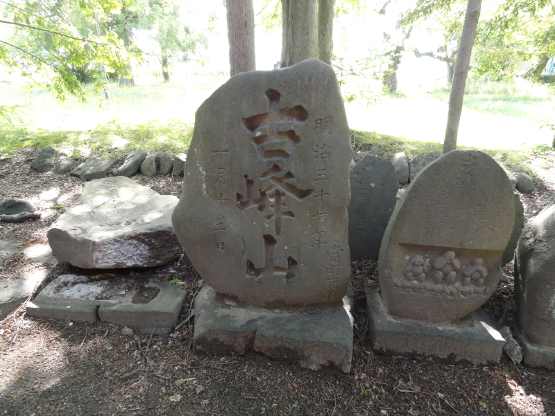 img0011.jpg