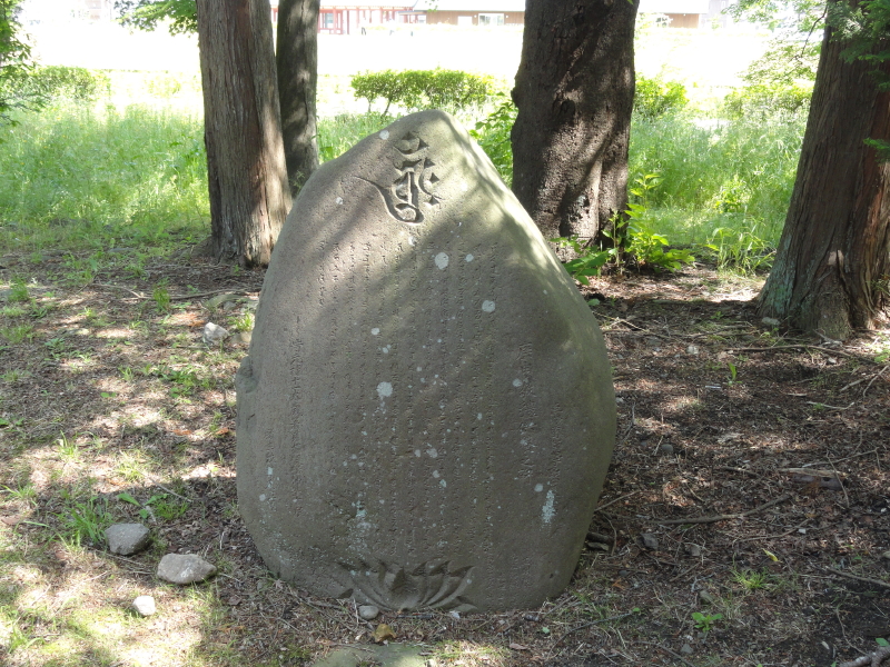 img0014.jpg