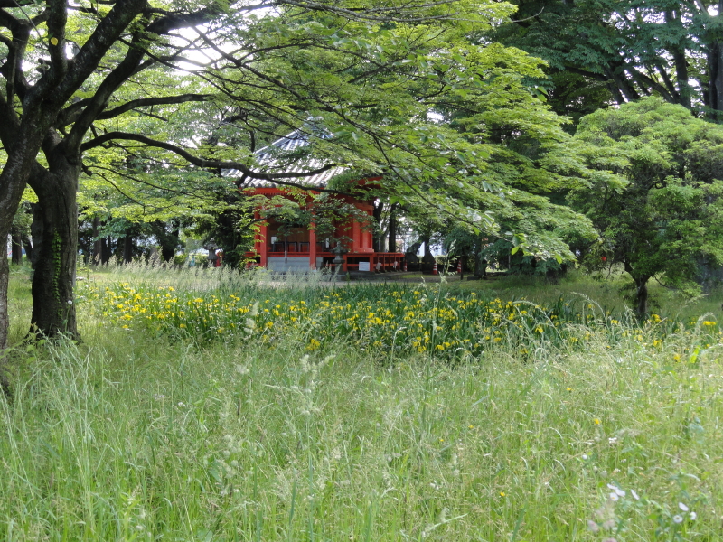 img0016.jpg