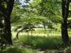 img0007.jpg