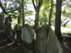 img0010.jpg
