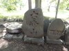 img0011.jpg
