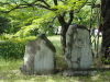 img0015.jpg