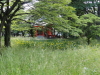 img0016.jpg