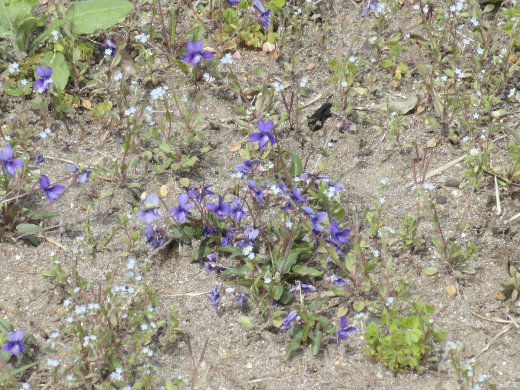 img0007.jpg