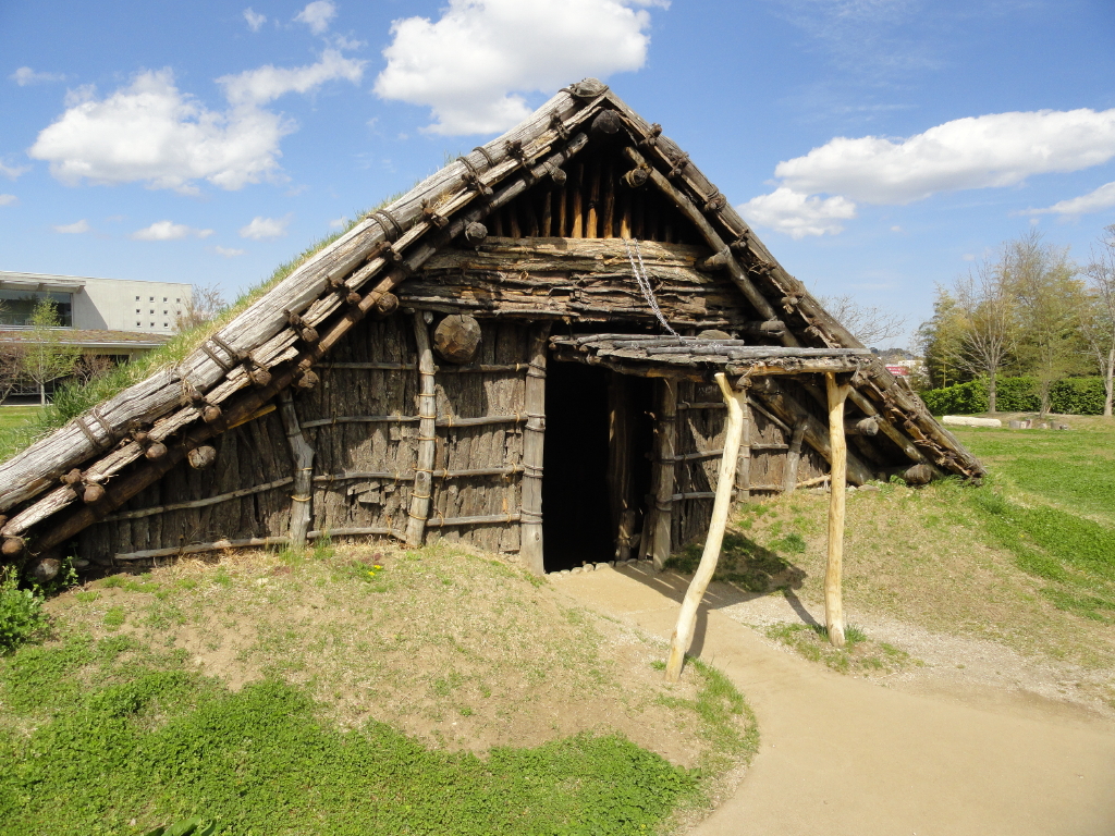 img0010.jpg