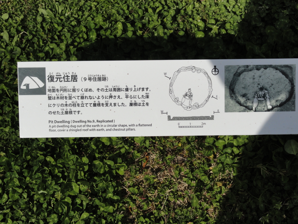 img0011.jpg