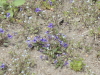 img0007.jpg
