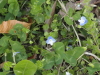 img0008.jpg