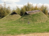 img0009.jpg