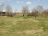 img0024.jpg