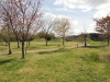 img0029.jpg