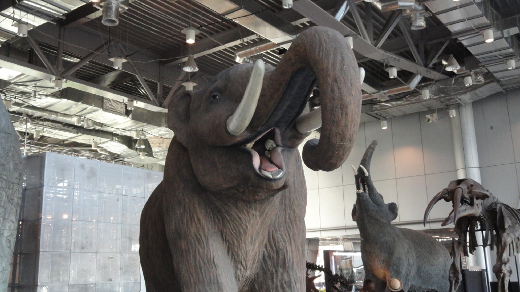 img0006.jpg