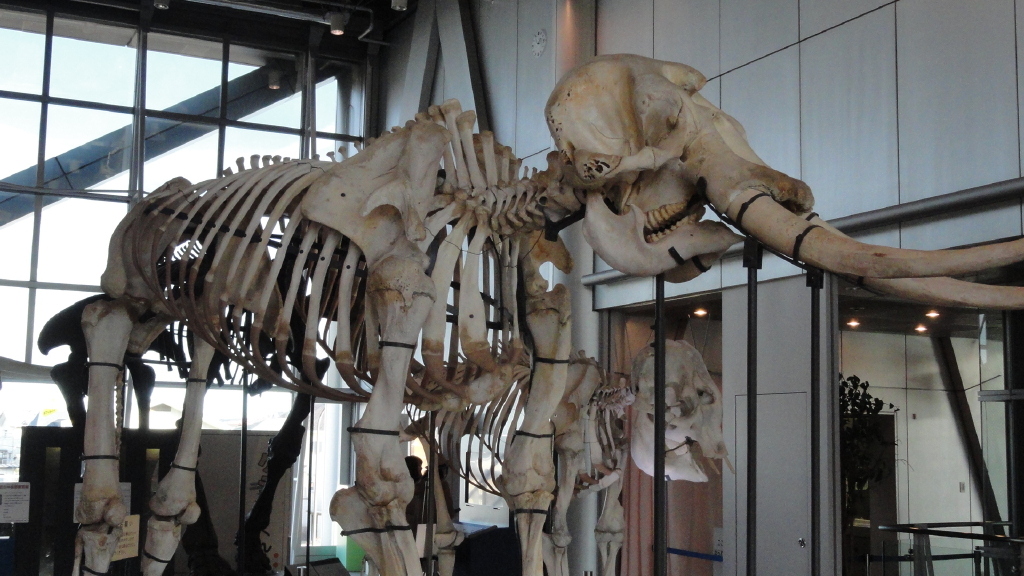 img0012.jpg
