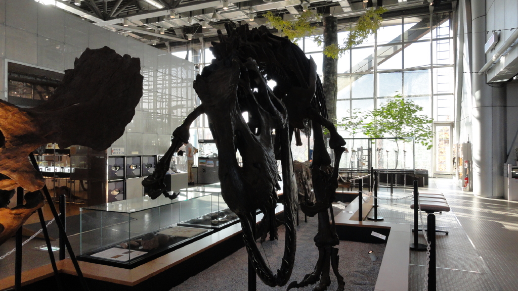 img0014.jpg