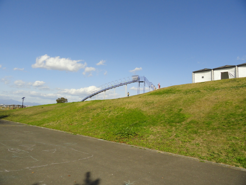 img0031.jpg