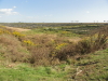 img0004.jpg